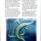 Illustration for article titled Is this what students in Louisiana are learning about evolution?